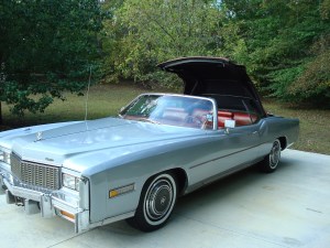 One Photo from Members' Cars